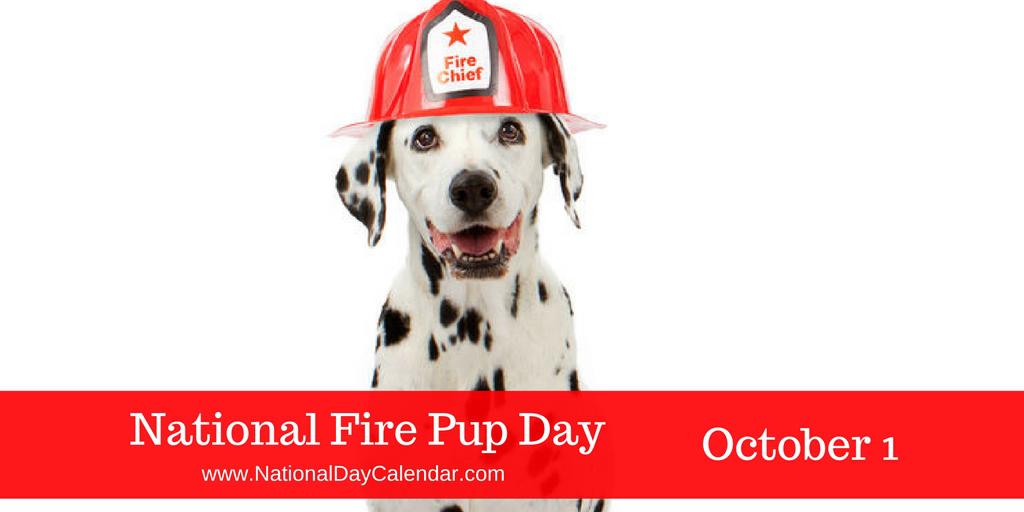 National Fire Pup Day Skippack Fire Company